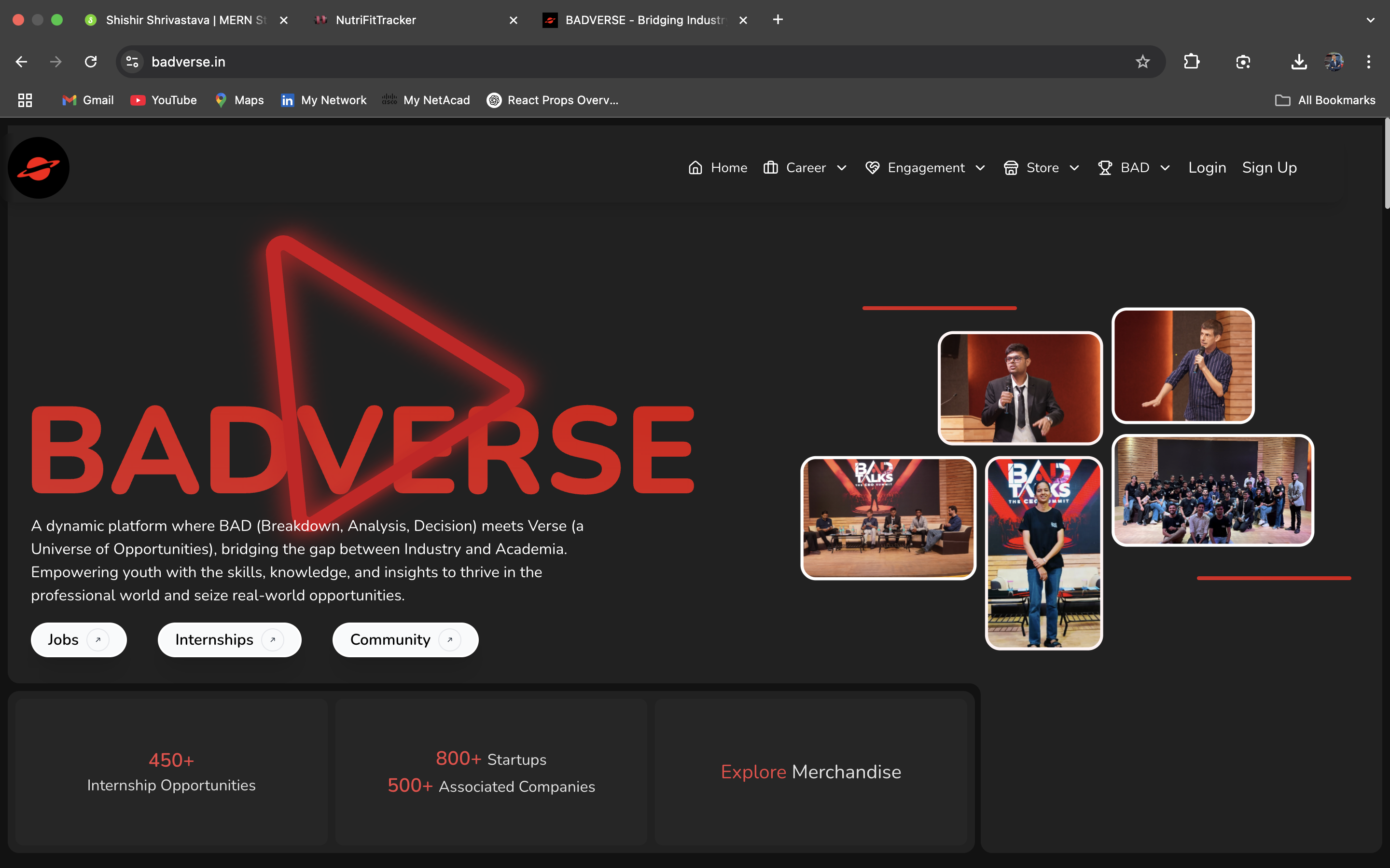 Badverse project preview